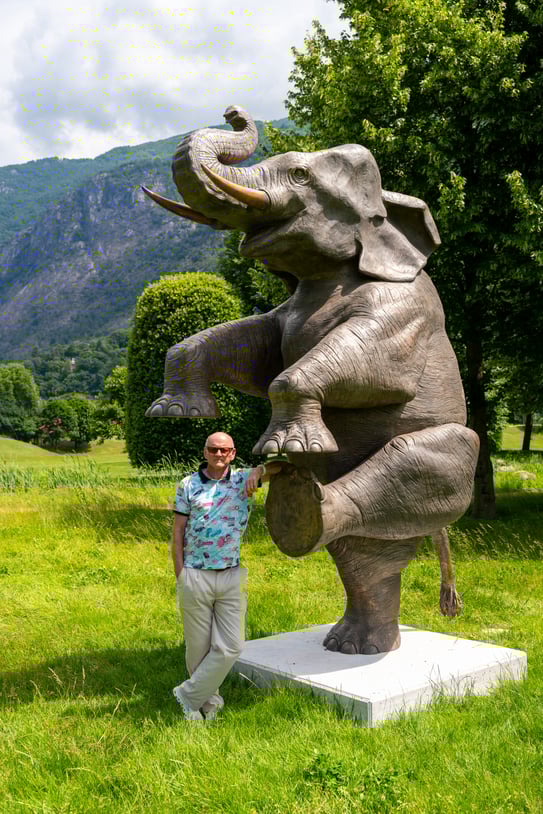 Happy Elephant-49