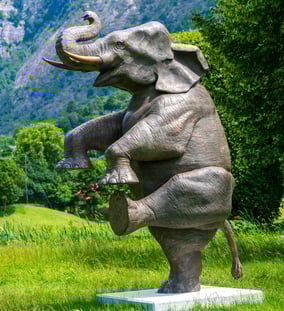 Happy Elephant-74