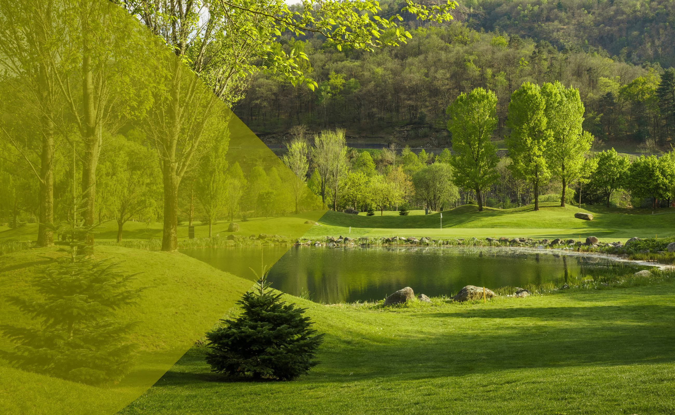 Golf Gerre Losone - Image 10