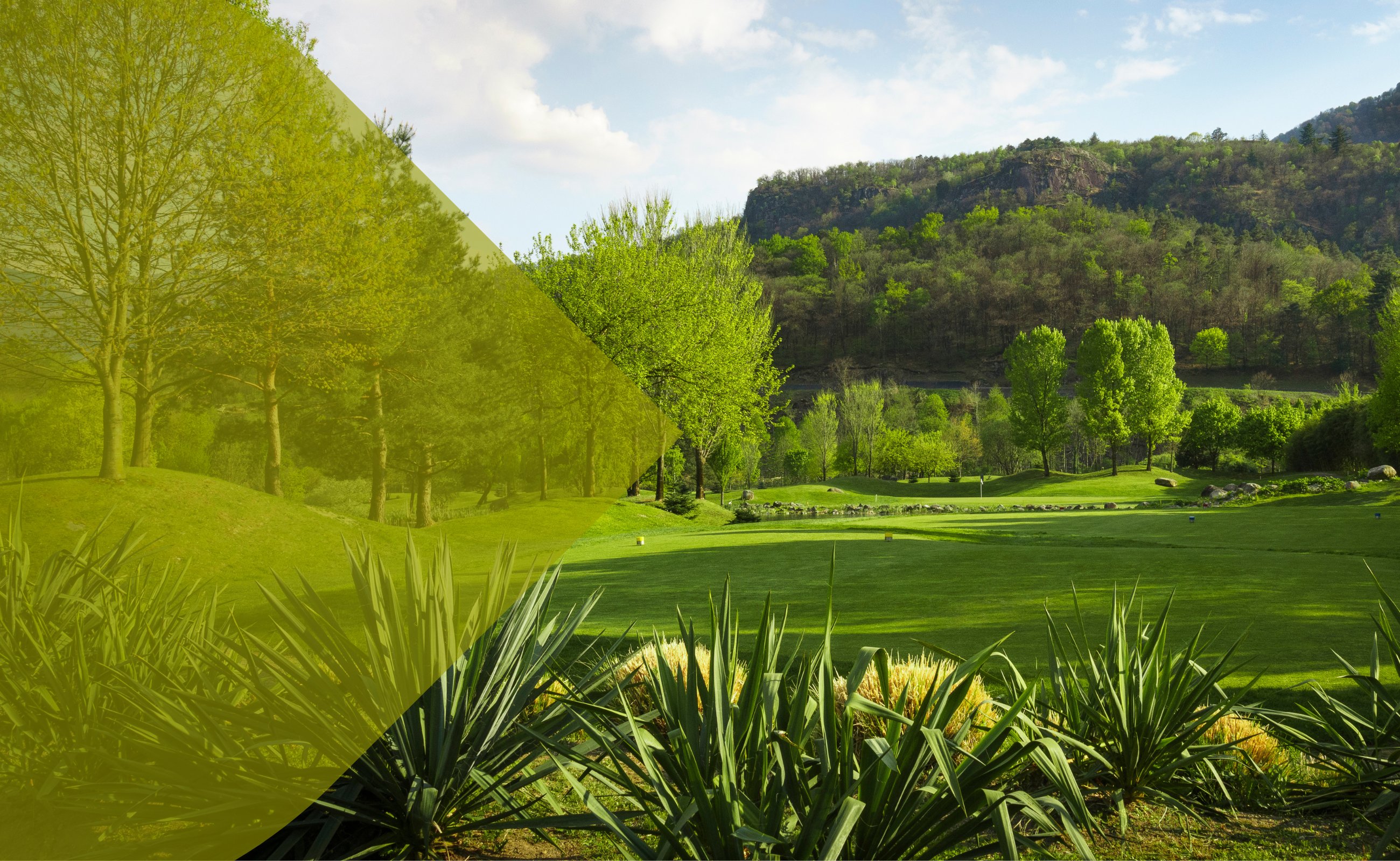 Golf Gerre Losone - Image 8