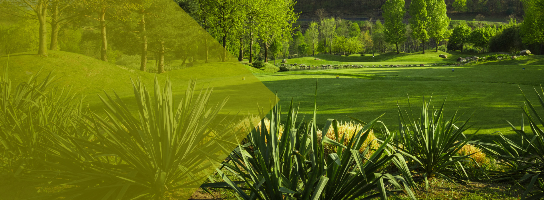 Golf Gerre Losone - Image 3